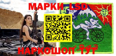 spice Камышлов