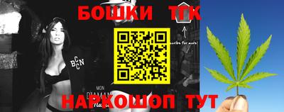 spice Камышлов