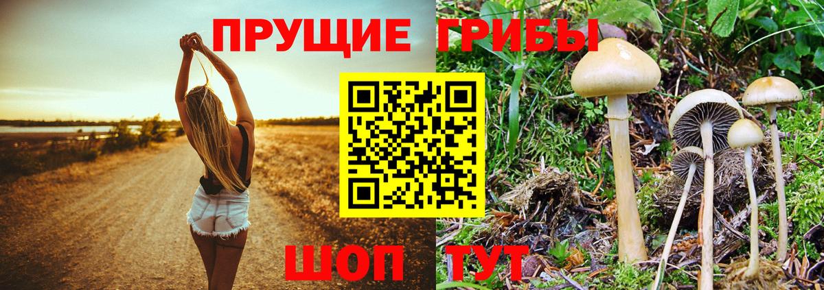 Галлюциногенные грибы GOLDEN TEACHER Благовещенск