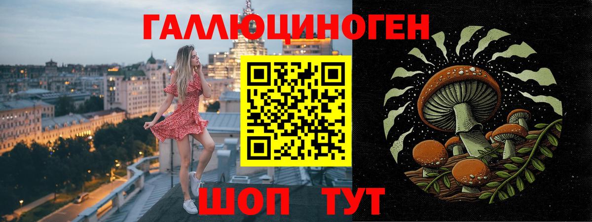 Благовещенск  Галлюциногенные грибы Psilocybine cubensis  Вход с VPN 
